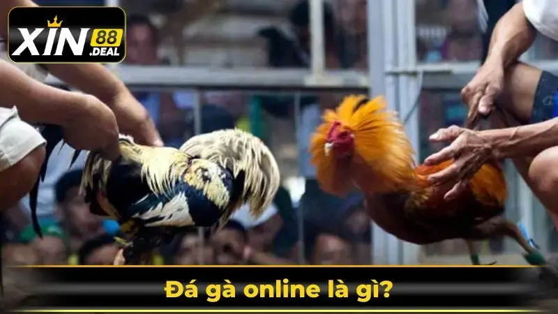 da-ga-online-la-gi