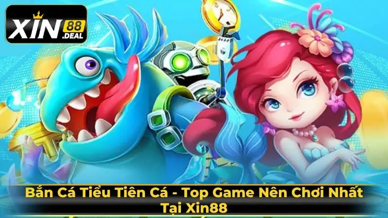 Ban-ca-tieu-tien-ca